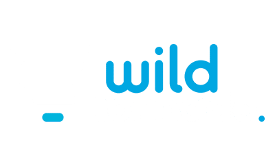 WildTornado Casino logo