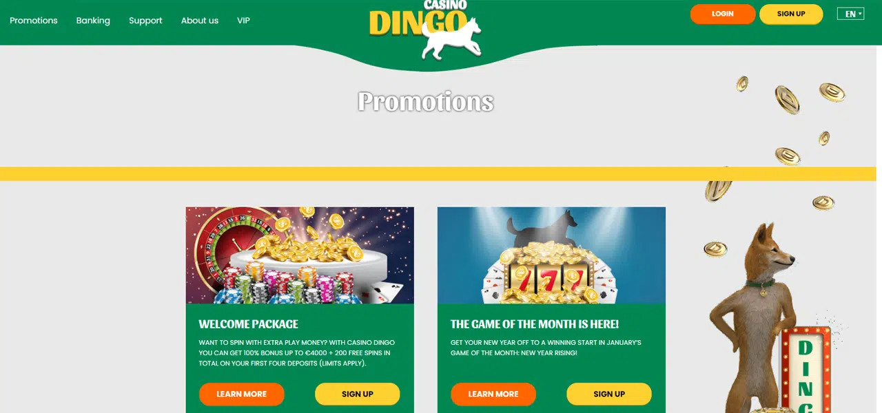 casino dingo review